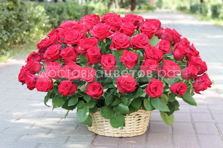 Корзина из 101 красной розы "Создана совершенной"